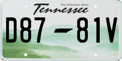 TN license plate D8781V