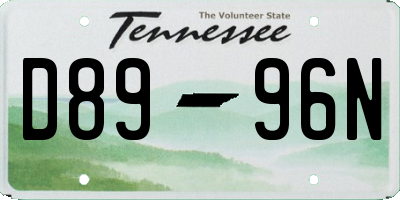 TN license plate D8996N