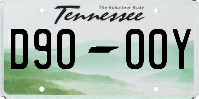 TN license plate D9000Y