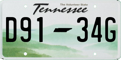 TN license plate D9134G
