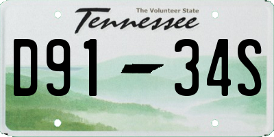 TN license plate D9134S