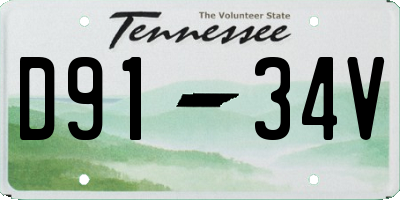 TN license plate D9134V
