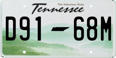 TN license plate D9168M