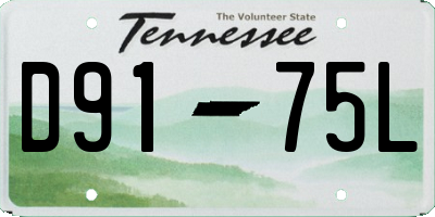 TN license plate D9175L
