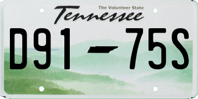 TN license plate D9175S