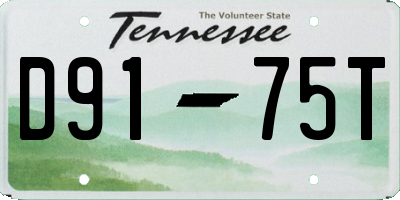 TN license plate D9175T