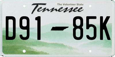 TN license plate D9185K