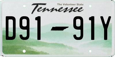 TN license plate D9191Y