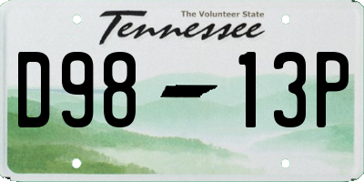 TN license plate D9813P