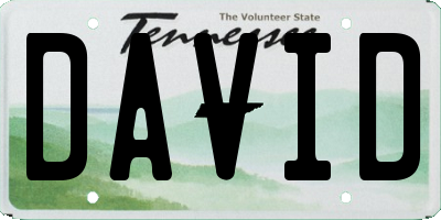 TN license plate DAVID