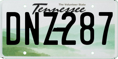 TN license plate DNZ287