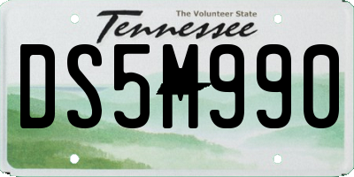 TN license plate DS5M990