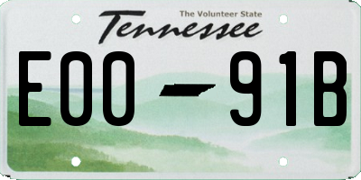 TN license plate E0091B