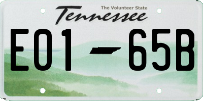 TN license plate E0165B