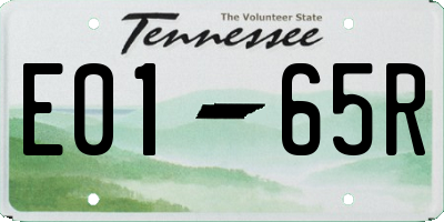 TN license plate E0165R