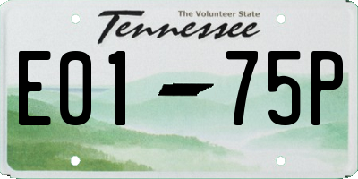 TN license plate E0175P