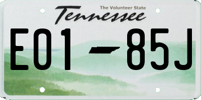 TN license plate E0185J