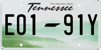 TN license plate E0191Y