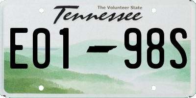 TN license plate E0198S