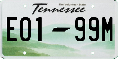TN license plate E0199M