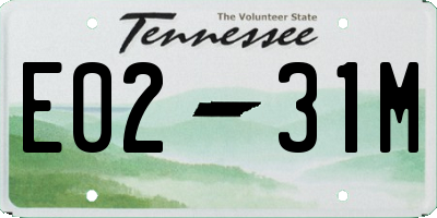 TN license plate E0231M