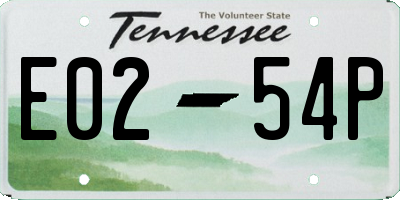 TN license plate E0254P