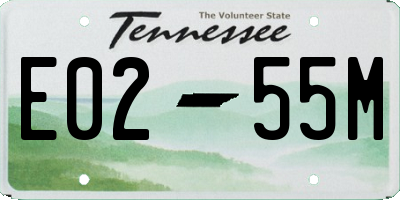 TN license plate E0255M