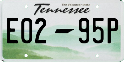 TN license plate E0295P