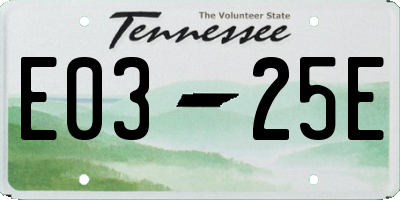 TN license plate E0325E