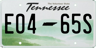 TN license plate E0465S