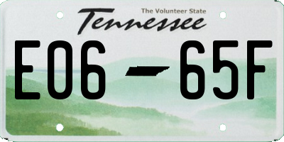 TN license plate E0665F