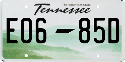 TN license plate E0685D