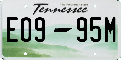 TN license plate E0995M