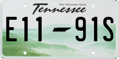 TN license plate E1191S