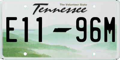 TN license plate E1196M