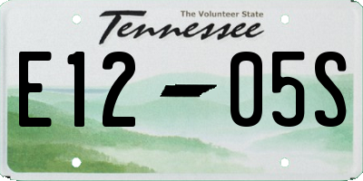 TN license plate E1205S