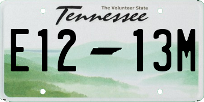 TN license plate E1213M