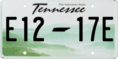 TN license plate E1217E