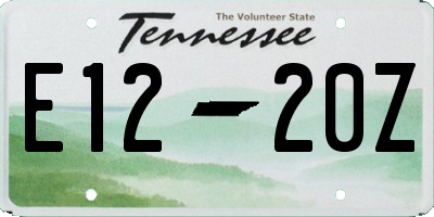 TN license plate E1220Z