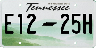 TN license plate E1225H