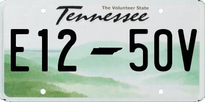 TN license plate E1250V