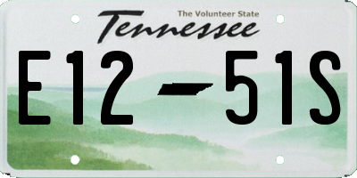 TN license plate E1251S
