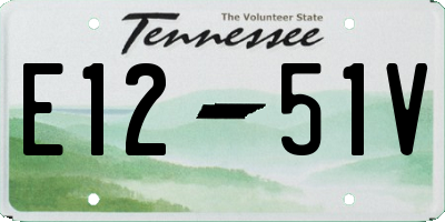 TN license plate E1251V