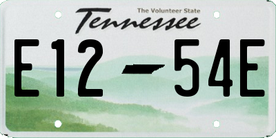 TN license plate E1254E