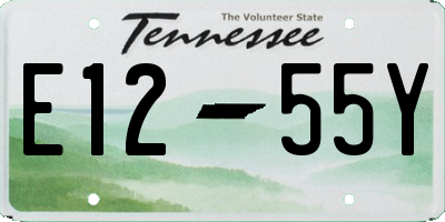 TN license plate E1255Y