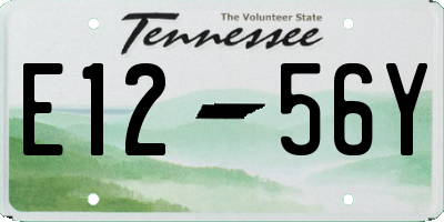 TN license plate E1256Y