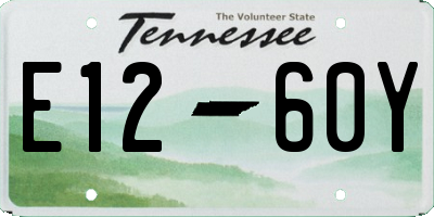 TN license plate E1260Y