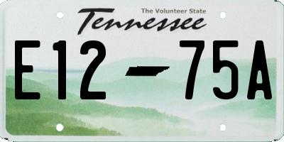 TN license plate E1275A