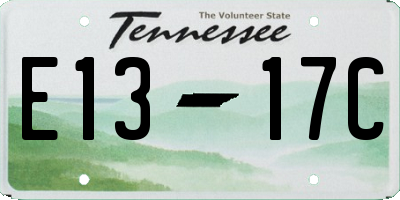 TN license plate E1317C