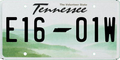TN license plate E1601W